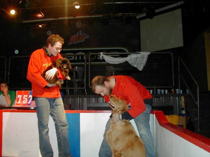 1797360_1426202137631386_2116613804854240399_n